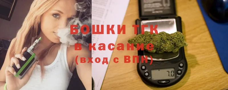 Конопля план  где продают   Шебекино 